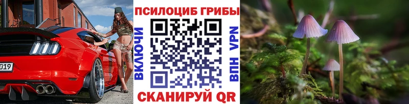 как найти наркотики  Ряжск  Галлюциногенные грибы Cubensis 